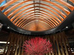 -河内西湖莲花自助餐厅