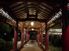 -顺峰山公园