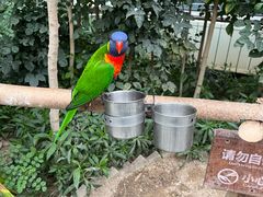 -南宫五洲植物乐园