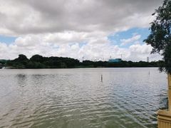 -华侨城湿地公园