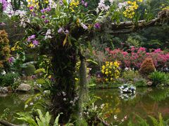 -深圳仙湖植物园