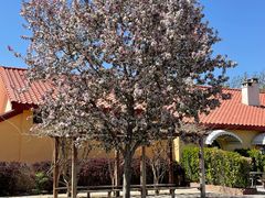 -意大利农场度假村