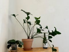 -fishtank鱼缸咖啡(三山街店)