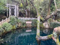 -蝴蝶泉公园
