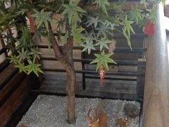 -河风の幸会精致料理