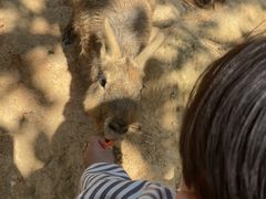-泉州海丝野生动物世界