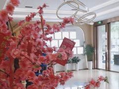 -合肥美奥口腔·种植矫正中心(政务院)