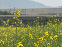 -光明小镇欢乐田园