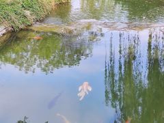 -三里河公园