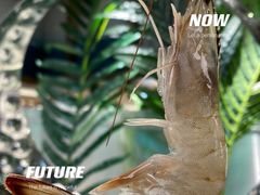 -亚马逊海鲜自助(梅溪湖步步高店)