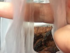 -梅记大块头爆鱼店(乍浦路店)