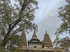 -北京石刻艺术博物馆(五塔寺)