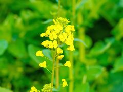 -中国天府农业博览园