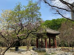 -月坛公园