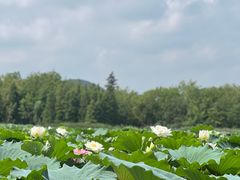 -云龙湖旅游景区