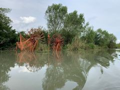 -同里国家湿地公园