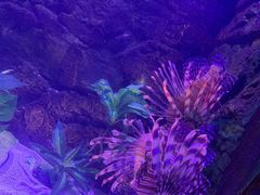 -梦幻海洋王国(吾悦广场张家港店)