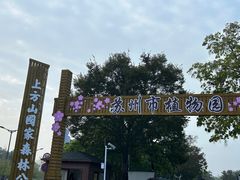 -苏州上方山国家森林公园