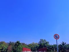 -南宁良凤江国家森林公园