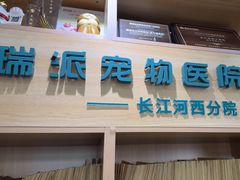 -瑞派长江宠物医院·猫科·外科·24小时夜护(谊城公寓分院)