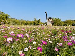 -红山村