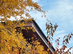 -龙华寺