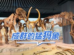 -大庆市博物馆