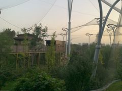 -太原动物园