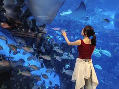 -太平洋海底世界