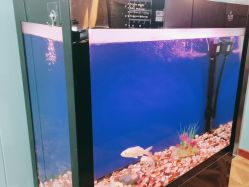 -尚逸男士理发馆·专注男发