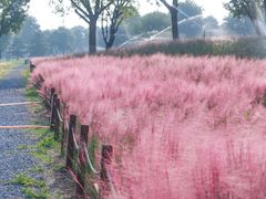 -汉长安城未央宫国家考古遗址公园