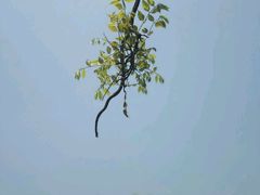 -沂蒙云瀑洞天景区
