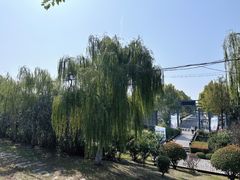 -合肥滨湖国家森林公园