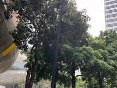 -广州市第二少年宫