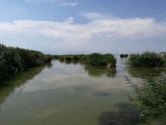 -迎宾楼(解放西街店)