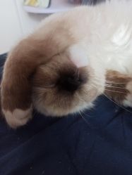 -盘子女人坊古装摄影(万达店)