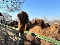 -青藏高原野生动物园