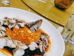 -西苑大酒店