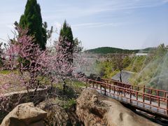 -雪山彩虹谷景区