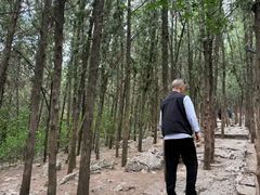 -云龙山