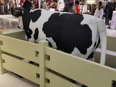 -红星前进面包牛奶公司(君太店)