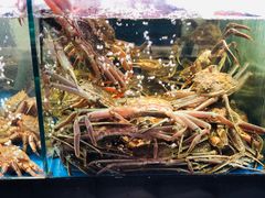 -蟹之国·精品蟹料理(极地店)