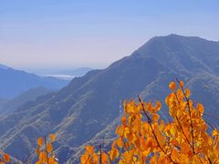 -北京十三陵国家森林公园蟒山景区
