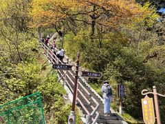 -峨眉山风景名胜区