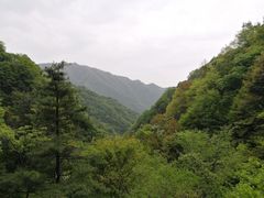 -王顺山国家森林公园