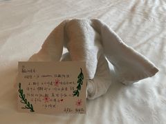 -上海嘉定喜来登酒店