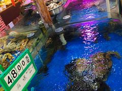 -山东八大碗山东老字号