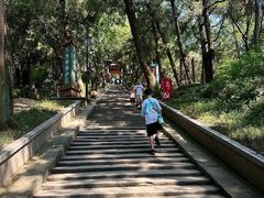 -子昂故里文化旅游区
