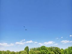 -海淀公园