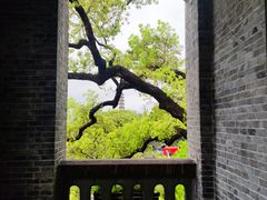 -江心屿景区